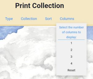 Print Collection Columns