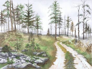 Beyond The Linn of Dee