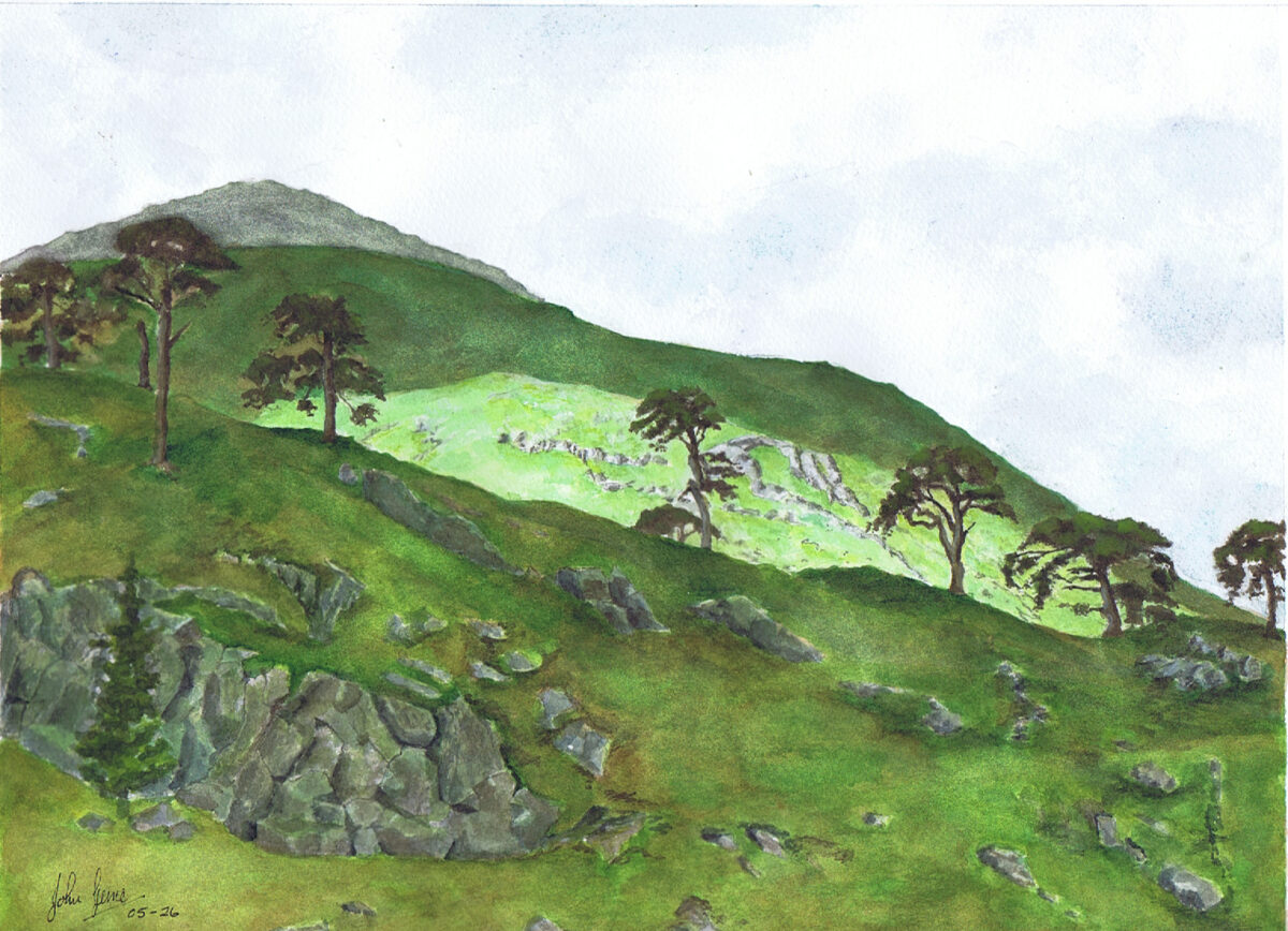 Ancient Caledonian Forest An original watercolour landscape showing a green hillside with pine trees, rocky outcrops and soft Highland atmosphere.